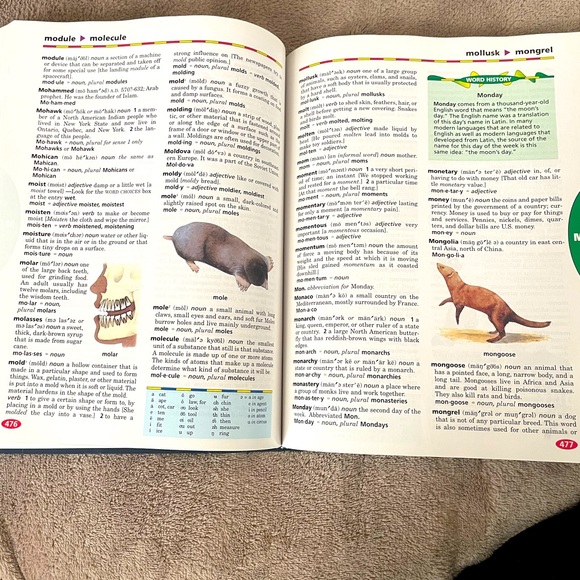 Webster’s New World Children’s Dictionary - Picture 3 of 3